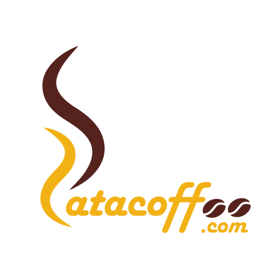 Thiết kế website 12 4