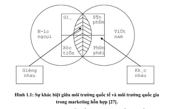 Anh chup man hinh 2024 08 14 170734