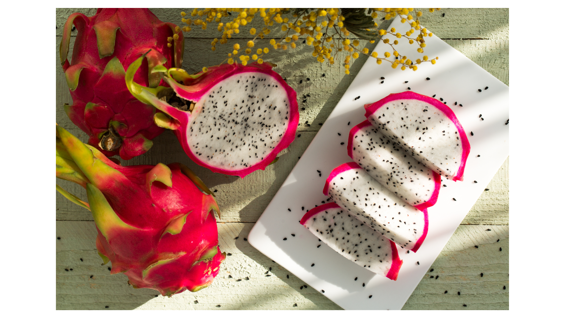 Thiet ke chua co ten 15