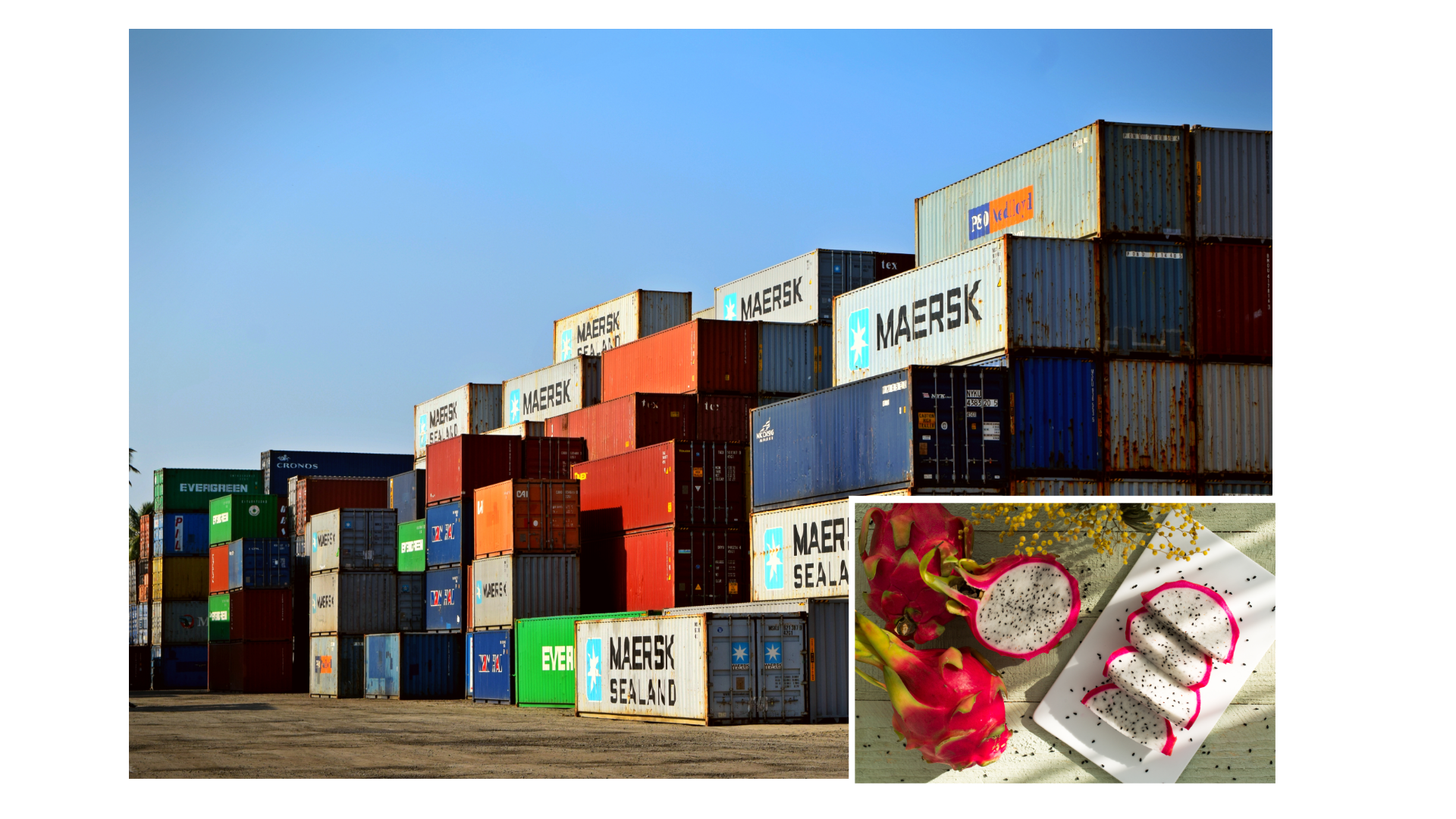 Thiet ke chua co ten 17